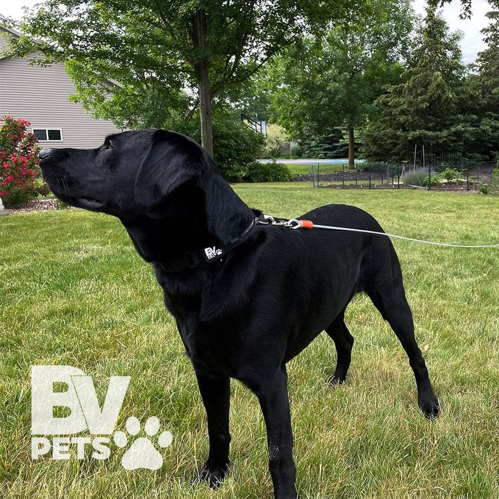 Dog Tie Out Cable 25 Feet - Heavy Duty Dog Lead up to 90 Pounds - Reflective & Rust-Free with Quick Release Swivel Clips & 360° Rotating Clasp - Tangle-Free Dogs Runner for Yard (Silver, Single)